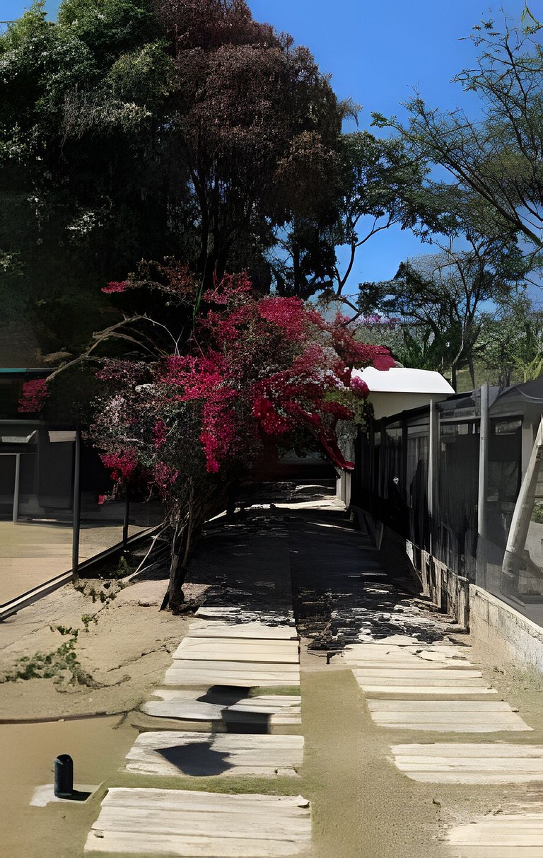 Sítio de Luxo com 7 Suítes – Condomínio